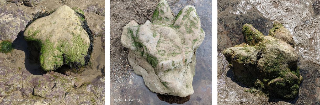 Dinosaur footprints on the Isle of Wight, UK